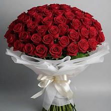 Букет 101 Красная роза Блэк Мэджик в Северской