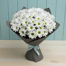 Букет цветов из:  Хризантемы #REPLACE_PRED# Северской