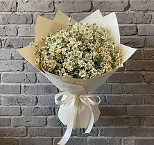 Букет цветов из:  Ромашки #REPLACE_PRED# Северской
