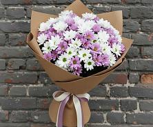 Букет цветов из:  Хризантемы #REPLACE_PRED# Северской