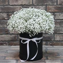 Цветочная композиция из Гипсофила в шляпной коробке в Северской